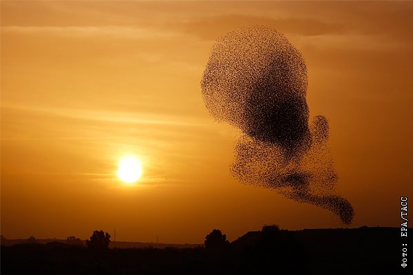 Лучшие фото недели