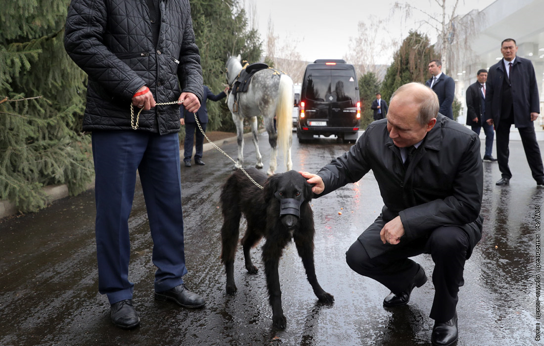 Путин с алабаем фото