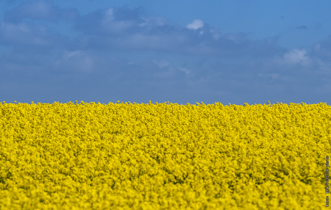 Флаг украины фотография