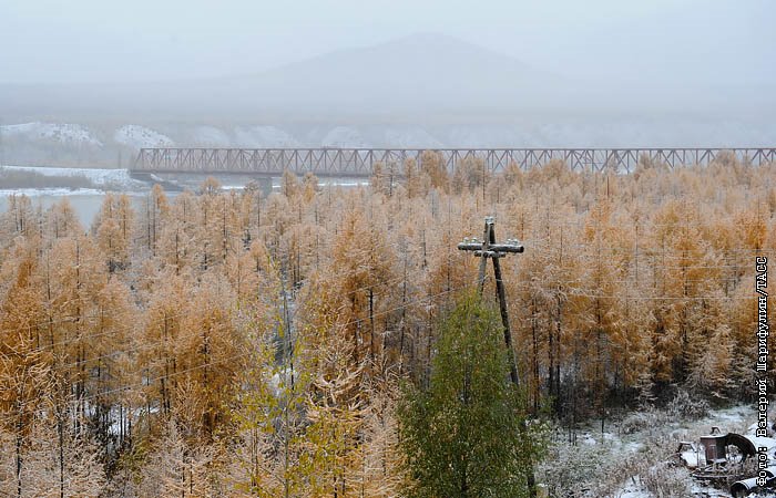 Жилье по социальному займу