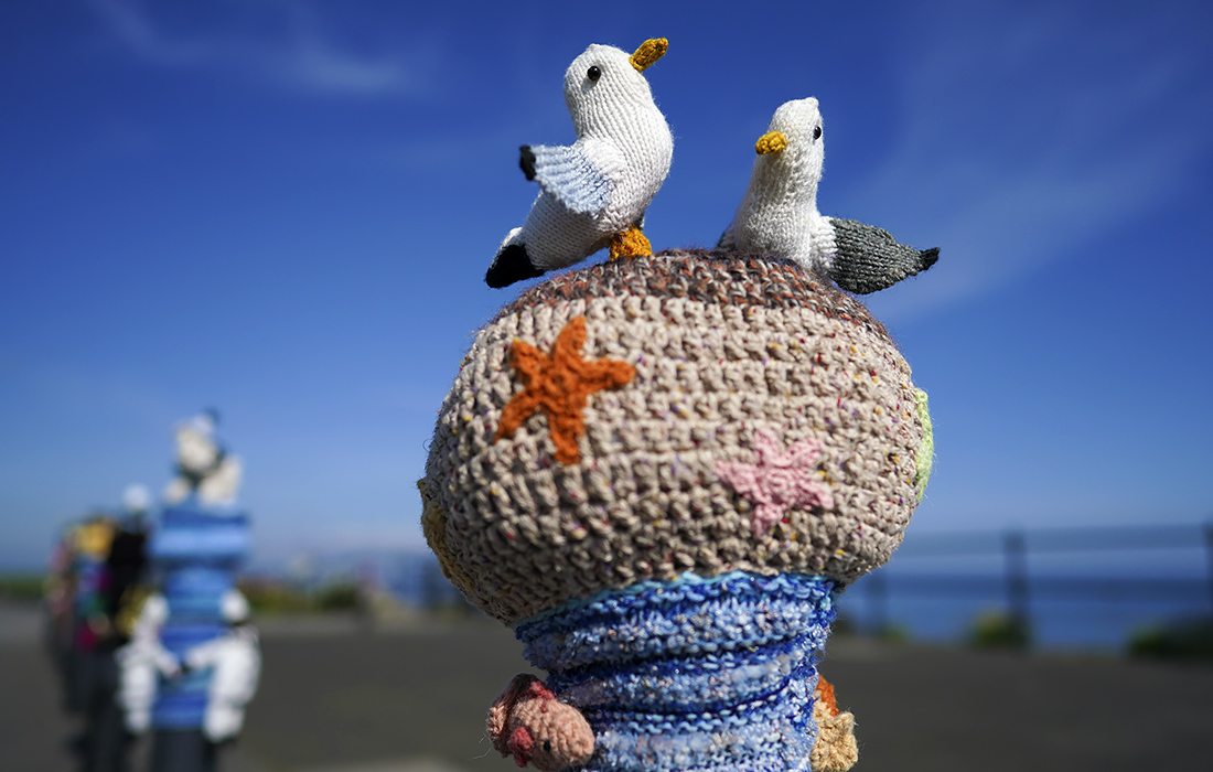 Soltbern. Knitted twitter.