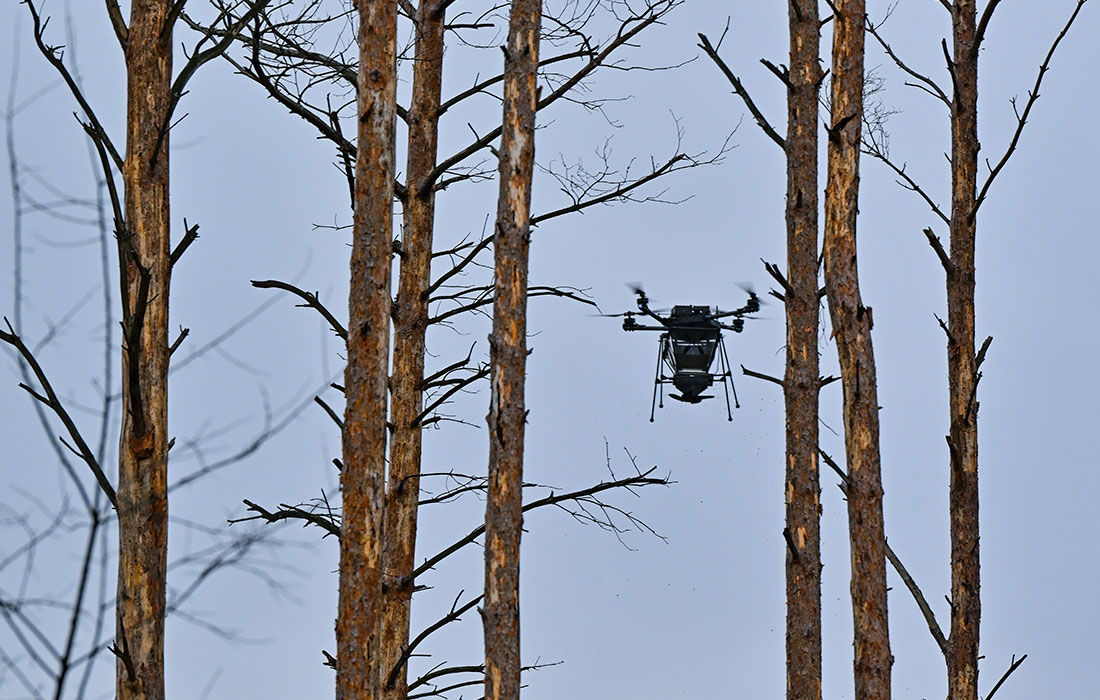 Использование дрона для сброса семян в лесах, пострадавших от пожаров, в земле Бранденбург на северо-востоке Германии