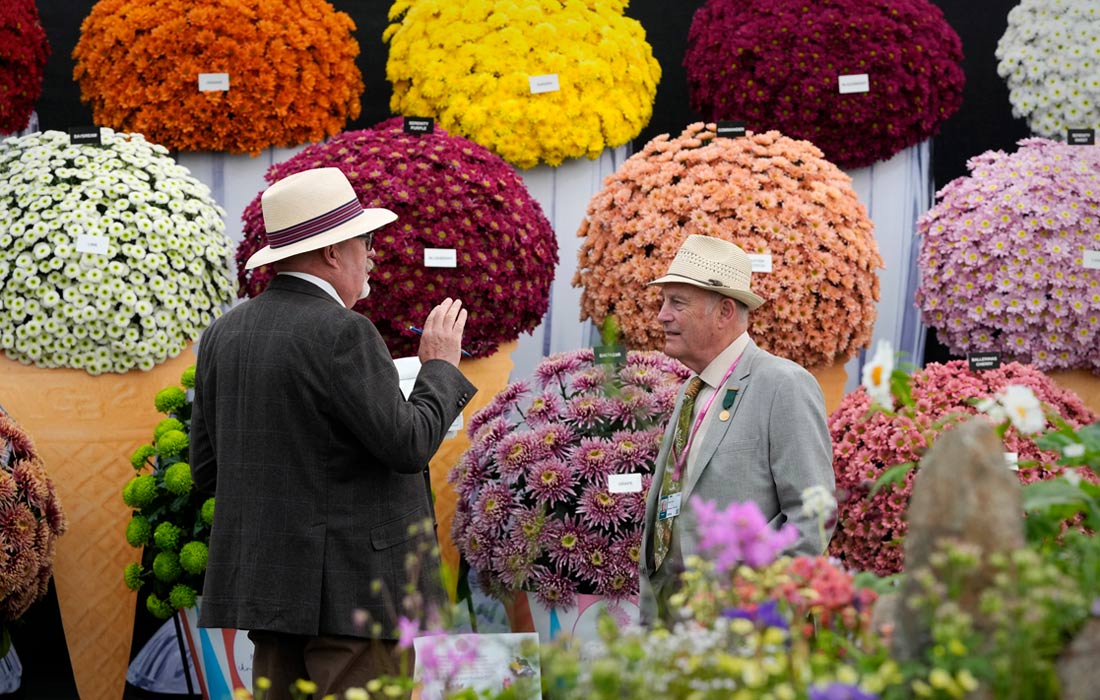 В лондонском Челси готовятся к открытию ежегодной выставки Chelsea Flower Show