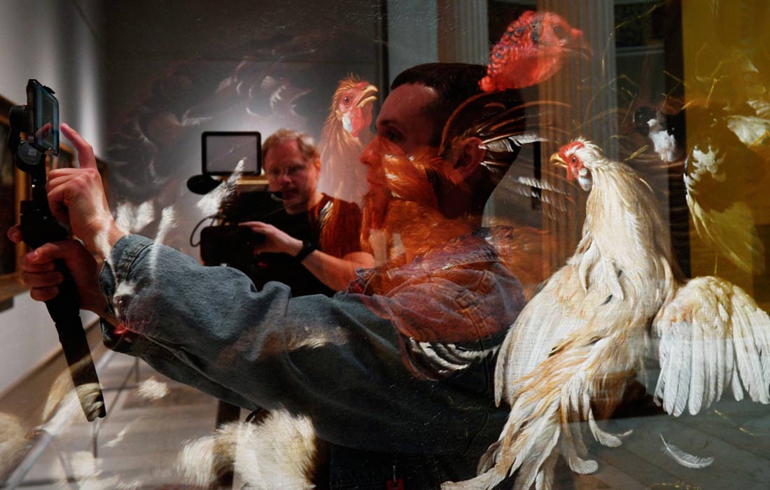 Коллекцию Пушкинского музея пополнила картина "Индюк, курицы, сороки и коза" итальянского живописца Джованни Агостино Кассана