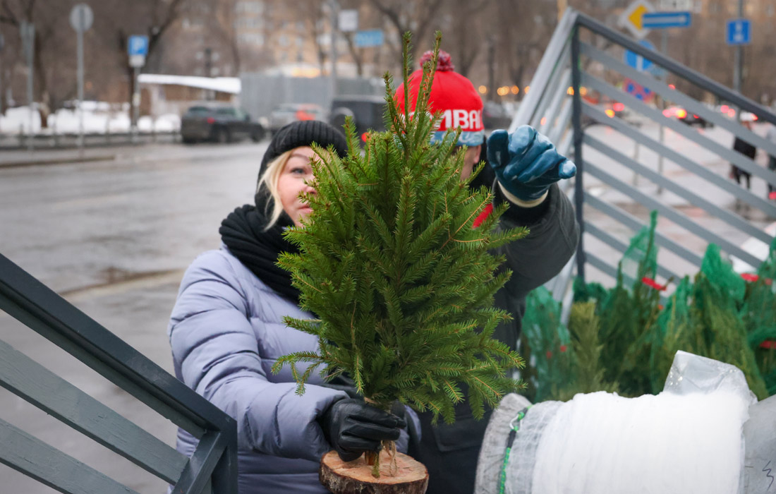 В Москве заработали елочные базары