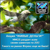    !  FOREX MMCIS group