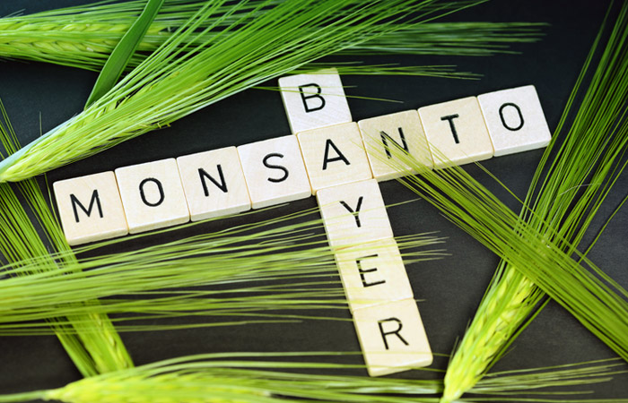        Bayer  Monsanto