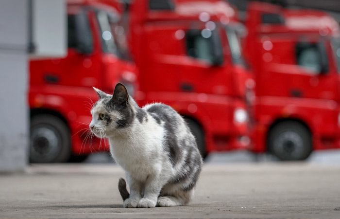 Кабмин РФ поддержал создание реестра грузовых автотранспортных перевозчиков