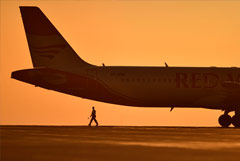 Red Wings       Airbus