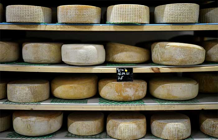 Минсельхоз сообщил об удвоении производства сыра в России за десять лет