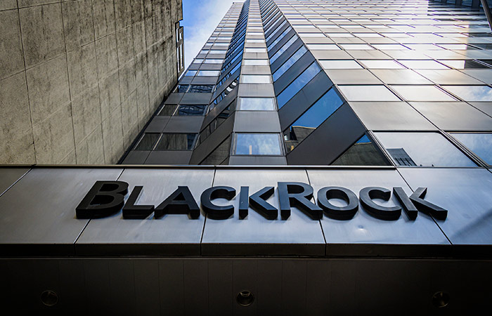 BlackRock, Microsoft  MGX  $30      -