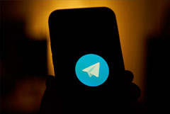  Telegram  2024 .  $1 ,     